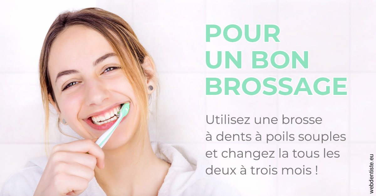 https://dr-dossou-olga.chirurgiens-dentistes.fr/Pour un bon brossage 2