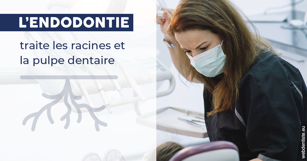 https://dr-dossou-olga.chirurgiens-dentistes.fr/L'endodontie 1