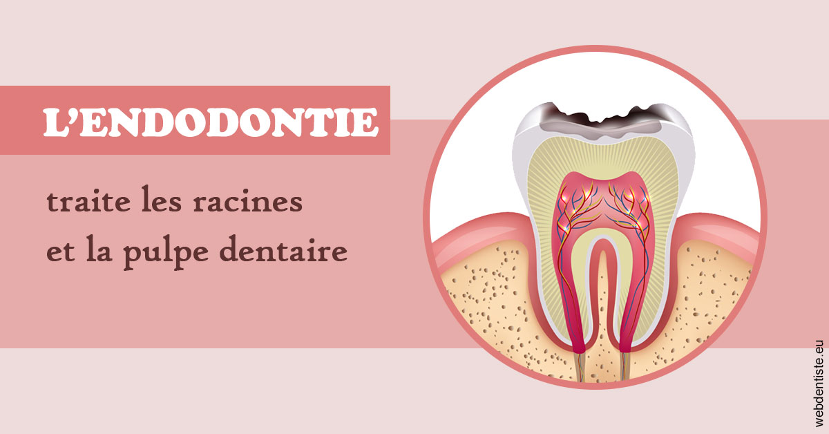 https://dr-dossou-olga.chirurgiens-dentistes.fr/L'endodontie 2