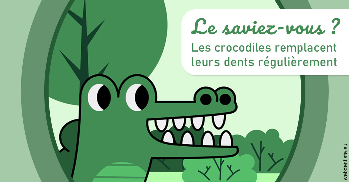 https://dr-dossou-olga.chirurgiens-dentistes.fr/Crocodiles 2