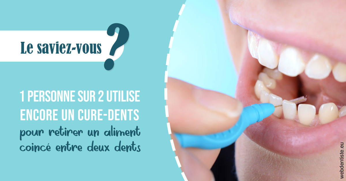 https://dr-dossou-olga.chirurgiens-dentistes.fr/Cure-dents 1